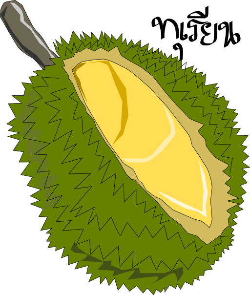 Durian Thai Fruit