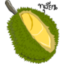 Durian Thai Fruit