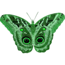 download Caligo Teucer clipart image with 90 hue color