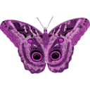 download Caligo Teucer clipart image with 270 hue color