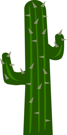 Cactus2