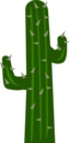 Cactus2