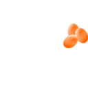 Eggs Uova
