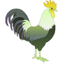 download Ayam Jantan clipart image with 45 hue color