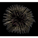 download Fireworks clipart image with 0 hue color