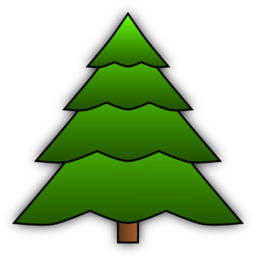 Simple Spruce