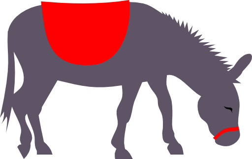 Donkey By Rones