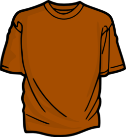 Orange T Shirt