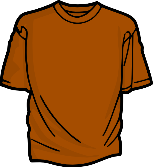 Orange T Shirt