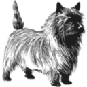 download Cairn Terrier clipart image with 0 hue color