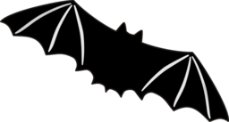 Bat