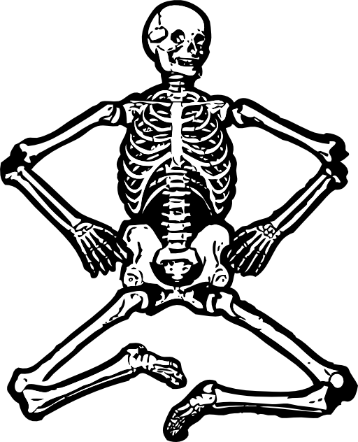 Skeleton