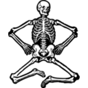 Skeleton