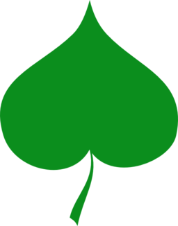 Spring Symbol Linden Leaf