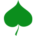 Spring Symbol Linden Leaf