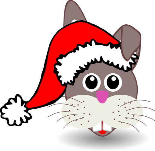 Funny Bunny Face With Santa Claus Hat