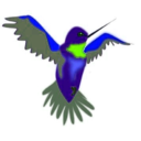 download Remix Hummingbird clipart image with 45 hue color