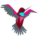 download Remix Hummingbird clipart image with 135 hue color