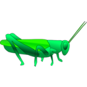 download Grasshopper clipart image with 45 hue color