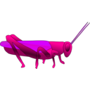 download Grasshopper clipart image with 225 hue color