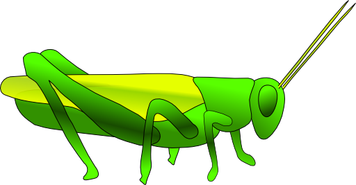 Grasshopper