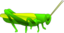 Grasshopper