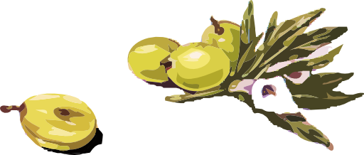 Olives