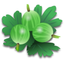 download Green Gooseberrys clipart image with 45 hue color