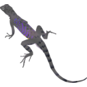 download Az Lizard clipart image with 225 hue color
