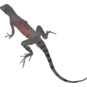 download Az Lizard clipart image with 315 hue color