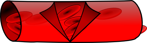 Blood Vessel