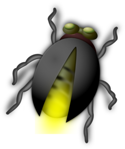 Lightning Bug Buddy