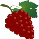 download Grape clipart image with 45 hue color