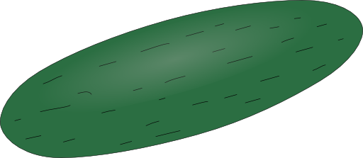Cucumber
