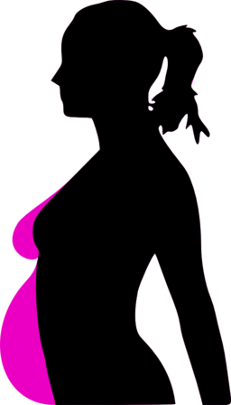 Pregnancy Silhouet