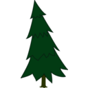 download Spruce clipart image with 45 hue color