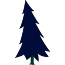 download Spruce clipart image with 135 hue color