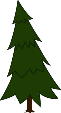 Spruce