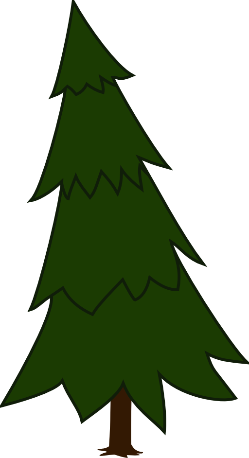 Spruce