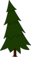 Spruce