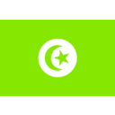 download Flag Of Tunisia clipart image with 90 hue color
