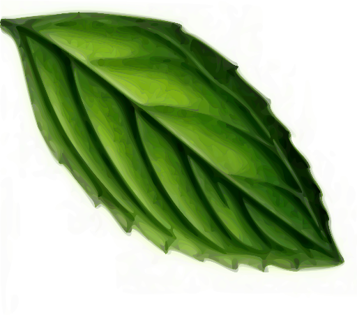 Mint Leaf