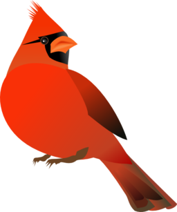 Red Cardinal