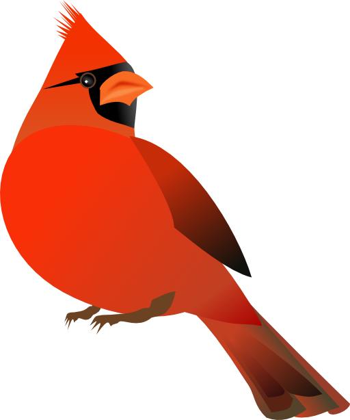 Red Cardinal