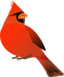 Red Cardinal