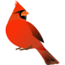 download Red Cardinal clipart image with 0 hue color