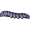 download Caterpillar D Plexippus clipart image with 180 hue color