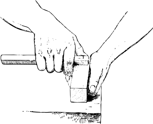The Thumb Is Opposite The Spur