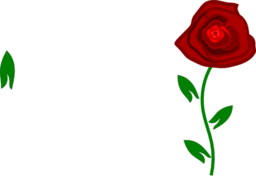 Red Rose