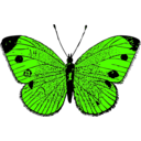 download Butterfly clipart image with 45 hue color